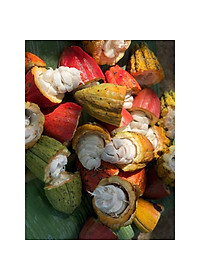 product-img-4