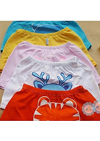 product-img-8