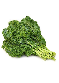 Hạt giống Cải Kale xanh, Cải Xoăn (20 hạt/bịch)