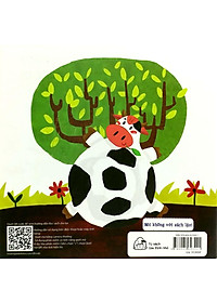 product-img-6