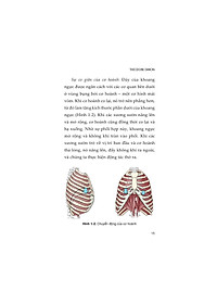 product-img-8