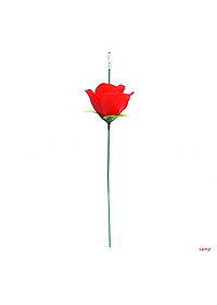 product-img-2