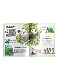 Sách Em muốn biết vì sao kangaroo có túi và những câu hỏi khác về con non