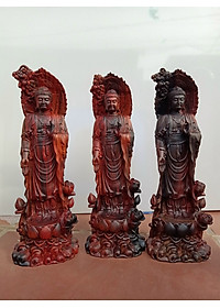 product-img-2