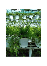 product-img-8