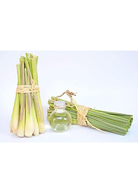 Tinh Dầu Sả VIETTINMART 1L