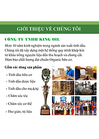 Tinh dầu Cà Phê ( Coffee) 100ml nguyên chất từ thiên nhiên - KingOil