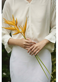 product-img-11