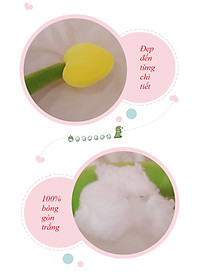 product-img-5