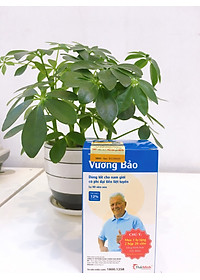 product-img-2