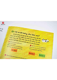 product-img-5