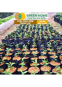 Chậu Trồng Cây Greenhome, nhiều kích thước, Nhựa Mềm, Dẻo, Nhẹ, Trồng Cây, Bầu Ươm Cây Giống, Độ Bền Đến 2 Năm