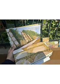 (Tặng kèm tập 5 lì xì, 1 thiệp, 1 bookmark) (Bìa cứng, In màu) XUÂN GỌI BẦU TRỜI NHUỘM NẮNG - Quỳnh Hương, Mía Studio - Slowbooks