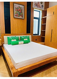 Nệm Cao Su Một Mặt Lỗ Đồng Phú DPCS1615 (160 x 200 x 15 cm)