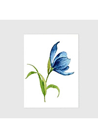 product-img-14