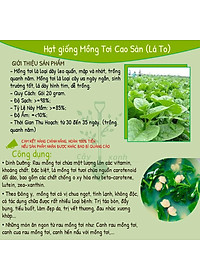 Hạt Giống Mồng Tơi Cao Sản Mồng Tơi Lá To Dễ Trồng,Giàu Dinh Dưỡng - Phú Nông Seeds 15Gr