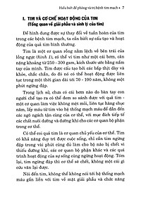 product-img-12