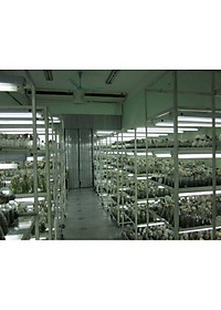 Đèn LED Trồng Cây, Đèn Quang Hợp Trồng Rau, Hoa và Cây Cảnh Trong Nhà, Đảm Bảo - Hàng chính hãng