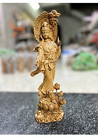 product-img-3