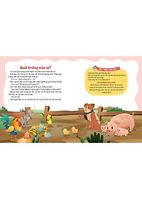 product-img-6