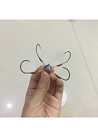 product-img-0