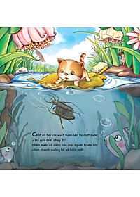 product-img-5
