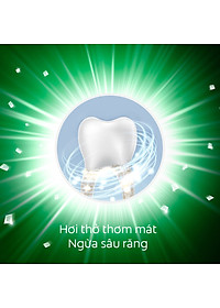 Bộ 3 Kem đánh răng Maxfresh Bamboo Charcoal 225g kèm bàn chải lông tơ phủ than