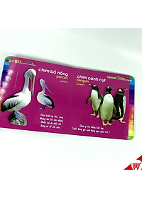product-img-4