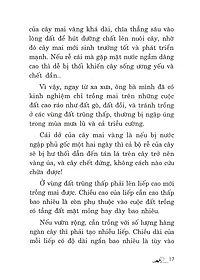 product-img-12