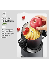 Máy Ép Chậm Olivo SJ196 – Ống Tiếp Nguyên Liệu Lớn 13cm – Động Cơ AC Cao Cấp