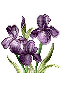 product-img-4