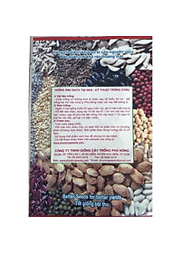 Hạt giống đậu bắp cao sản Phú Nông (PN130748) - 10g