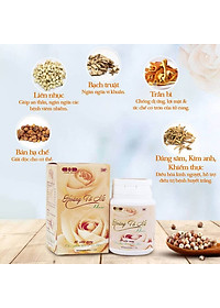 Hoàng Tố Nữ Dân Khang Hỗ Trợ Huyết Trắng, Phụ Khoa - Hủ 60 viên 300gram