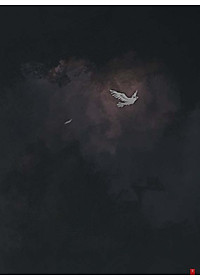 Cây Bách Xù - Truyện Cổ Grimm Kinh Dị Được Kể Bằng Tranh