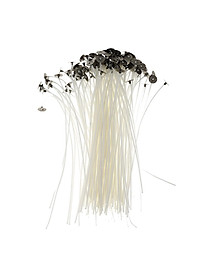product-img-10