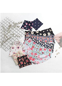 Set 5 Quần Lót Đúc Su Điều Hòa Thông Thoáng HM11