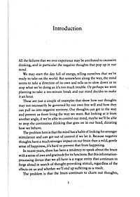 The Practice Of Not Thinking: A Guide To Mindful Living