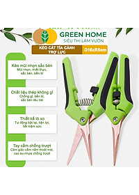Kéo Cắt Cành GreenHome, D16,5xR4,5cm, Inox, Mũi Nhọn, Siêu Bén, Không Gỉ, Có Khoá An Toàn, Nhiều Màu Lựa Chọn