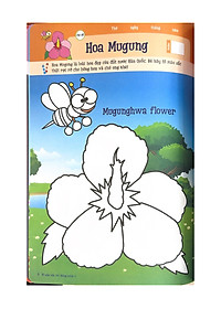 product-img-8