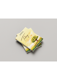 product-img-4
