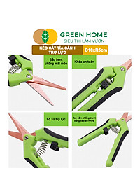 Kéo Cắt Cành GreenHome, D16,5xR4,5cm, Inox, Mũi Nhọn, Siêu Bén, Không Gỉ, Có Khoá An Toàn, Nhiều Màu Lựa Chọn