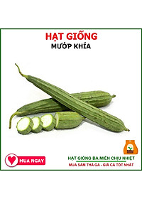Hạt Giống Mướp Khía Sai Trái, Chịu Nhiệt 10 Hạt