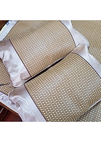 Chiếu điều hòa cao cấp xuất Nhật kích thước 1m6 x 2m nằm được 2 mặt (bao gồm túi đựng + 2 vỏ gối)