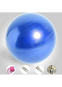 Bóng Tập Yoga 65Cm Cao Cấp Chống Nổ (Dày 2mm) - Tặng Kèm Bơm – Kim Bơm Bóng Dự Phòng - Chính Hãng Amalife