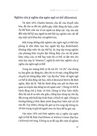 product-img-12