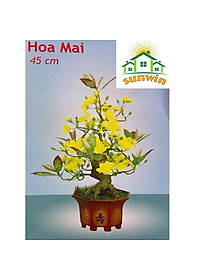 product-img-3