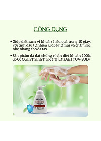 Nước rửa tay hữu cơ diệt khuẩn dạng bọt tinh dầu Quế 250ml thương hiệu Ecocare