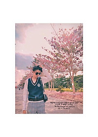 Cây Kèn Hồng - cây cảnh vườn + tặng phân bón cho cây