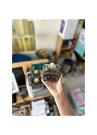 Khay Đựng Mứt Tết 6 Hũ Thủy Tinh Sang Trọng Cao Cấp, Hũ Đựng Bánh Kẹo, Các Loại Hạt - Thố Thủy Tinh Đựng Bánh Kẹo- HÀNG CHÍNH HÃNG MINIIN