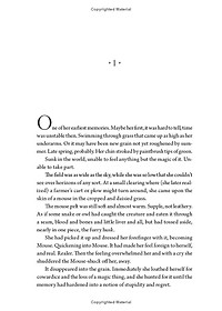 product-img-8